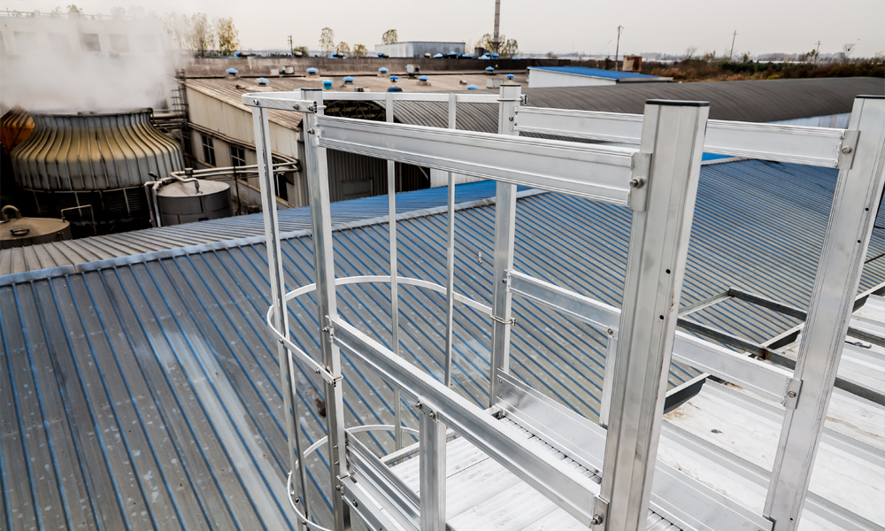 1616653976720279.jpg platform.jpg